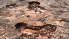 Câmara de Lucélia autoriza prefeitura a realizar empréstimo de até R$ 7 milhões para recapear ruas
