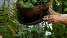 Saúde de Lucélia informa dois óbitos de moradores por dengue